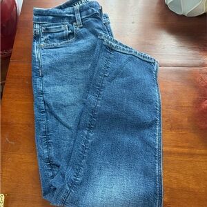 American Eagle - Curvy Mom Jean